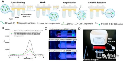 在家自己做核酸檢測(cè) 蕭山公司創(chuàng)新產(chǎn)品引領(lǐng)便捷檢測(cè)新潮流，計(jì)算機(jī)軟硬件協(xié)同實(shí)現(xiàn)1小時(shí)快速檢測(cè)